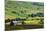 Swaledale in Summer from Askrigg High Road Near Muker-Mark Sunderland-Mounted Photographic Print