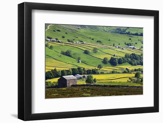 Swaledale in Summer from Askrigg High Road Near Muker-Mark Sunderland-Framed Photographic Print