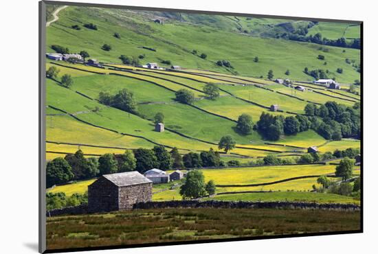 Swaledale in Summer from Askrigg High Road Near Muker-Mark Sunderland-Mounted Photographic Print