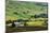 Swaledale in Summer from Askrigg High Road Near Muker-Mark Sunderland-Mounted Photographic Print