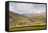 Swaledale in the Yorkshire Dales National Park, Yorkshire, England, United Kingdom, Europe-Julian Elliott-Framed Stretched Canvas