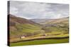 Swaledale in the Yorkshire Dales National Park, Yorkshire, England, United Kingdom, Europe-Julian Elliott-Stretched Canvas