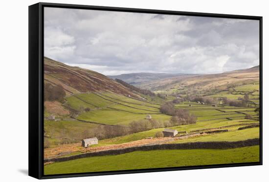 Swaledale in the Yorkshire Dales National Park, Yorkshire, England, United Kingdom, Europe-Julian Elliott-Framed Stretched Canvas