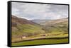 Swaledale in the Yorkshire Dales National Park, Yorkshire, England, United Kingdom, Europe-Julian Elliott-Framed Stretched Canvas