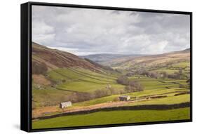 Swaledale in the Yorkshire Dales National Park, Yorkshire, England, United Kingdom, Europe-Julian Elliott-Framed Stretched Canvas