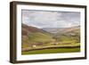 Swaledale in the Yorkshire Dales National Park, Yorkshire, England, United Kingdom, Europe-Julian Elliott-Framed Photographic Print