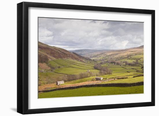 Swaledale in the Yorkshire Dales National Park, Yorkshire, England, United Kingdom, Europe-Julian Elliott-Framed Photographic Print