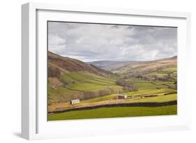 Swaledale in the Yorkshire Dales National Park, Yorkshire, England, United Kingdom, Europe-Julian Elliott-Framed Photographic Print