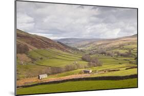 Swaledale in the Yorkshire Dales National Park, Yorkshire, England, United Kingdom, Europe-Julian Elliott-Mounted Photographic Print