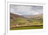 Swaledale in the Yorkshire Dales National Park, Yorkshire, England, United Kingdom, Europe-Julian Elliott-Framed Photographic Print