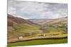 Swaledale in the Yorkshire Dales National Park, Yorkshire, England, United Kingdom, Europe-Julian Elliott-Mounted Photographic Print