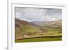 Swaledale in the Yorkshire Dales National Park, Yorkshire, England, United Kingdom, Europe-Julian Elliott-Framed Photographic Print