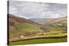 Swaledale in the Yorkshire Dales National Park, Yorkshire, England, United Kingdom, Europe-Julian Elliott-Stretched Canvas