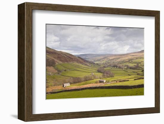 Swaledale in the Yorkshire Dales National Park, Yorkshire, England, United Kingdom, Europe-Julian Elliott-Framed Photographic Print