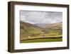 Swaledale in the Yorkshire Dales National Park, Yorkshire, England, United Kingdom, Europe-Julian Elliott-Framed Photographic Print