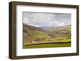 Swaledale in the Yorkshire Dales National Park, Yorkshire, England, United Kingdom, Europe-Julian Elliott-Framed Photographic Print