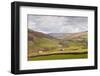 Swaledale in the Yorkshire Dales National Park, Yorkshire, England, United Kingdom, Europe-Julian Elliott-Framed Photographic Print