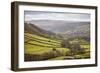 Swaledale, North Yorkshire, Yorkshire, England, United Kingdom, Europe-Mark Mawson-Framed Photographic Print