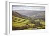 Swaledale, North Yorkshire, Yorkshire, England, United Kingdom, Europe-Mark Mawson-Framed Photographic Print