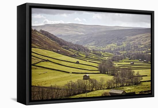 Swaledale, North Yorkshire, Yorkshire, England, United Kingdom, Europe-Mark Mawson-Framed Stretched Canvas