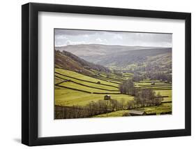 Swaledale, North Yorkshire, Yorkshire, England, United Kingdom, Europe-Mark Mawson-Framed Photographic Print