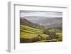Swaledale, North Yorkshire, Yorkshire, England, United Kingdom, Europe-Mark Mawson-Framed Photographic Print