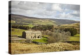 Swaledale, Yorkshire Dales, North Yorkshire, Yorkshire, England, United Kingdom, Europe-Mark Mawson-Stretched Canvas