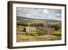 Swaledale, Yorkshire Dales, North Yorkshire, Yorkshire, England, United Kingdom, Europe-Mark Mawson-Framed Photographic Print