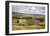 Swaledale, Yorkshire Dales, North Yorkshire, Yorkshire, England, United Kingdom, Europe-Mark Mawson-Framed Photographic Print