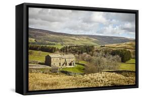 Swaledale, Yorkshire Dales, North Yorkshire, Yorkshire, England, United Kingdom, Europe-Mark Mawson-Framed Stretched Canvas