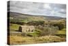 Swaledale, Yorkshire Dales, North Yorkshire, Yorkshire, England, United Kingdom, Europe-Mark Mawson-Stretched Canvas