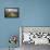 Swaledale, Yorkshire Dales, Yorkshire, England, United Kingdom, Europe-Mark Mawson-Framed Stretched Canvas displayed on a wall