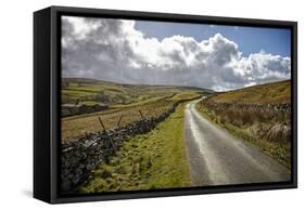 Swaledale, Yorkshire Dales, Yorkshire, England, United Kingdom, Europe-Mark Mawson-Framed Stretched Canvas