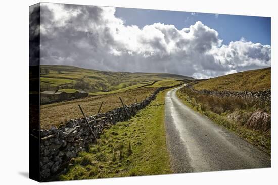 Swaledale, Yorkshire Dales, Yorkshire, England, United Kingdom, Europe-Mark Mawson-Stretched Canvas