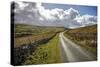 Swaledale, Yorkshire Dales, Yorkshire, England, United Kingdom, Europe-Mark Mawson-Stretched Canvas