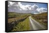 Swaledale, Yorkshire Dales, Yorkshire, England, United Kingdom, Europe-Mark Mawson-Framed Stretched Canvas