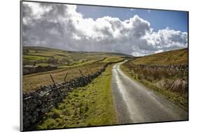 Swaledale, Yorkshire Dales, Yorkshire, England, United Kingdom, Europe-Mark Mawson-Mounted Photographic Print