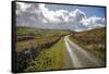 Swaledale, Yorkshire Dales, Yorkshire, England, United Kingdom, Europe-Mark Mawson-Framed Stretched Canvas