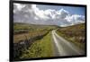 Swaledale, Yorkshire Dales, Yorkshire, England, United Kingdom, Europe-Mark Mawson-Framed Photographic Print