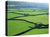 Swaledale, Yorkshire Dales, Yorkshire, England-Steve Vidler-Stretched Canvas