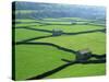 Swaledale, Yorkshire Dales, Yorkshire, England-Steve Vidler-Stretched Canvas