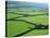 Swaledale, Yorkshire Dales, Yorkshire, England-Steve Vidler-Stretched Canvas