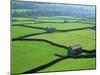 Swaledale, Yorkshire Dales, Yorkshire, England-Steve Vidler-Mounted Photographic Print
