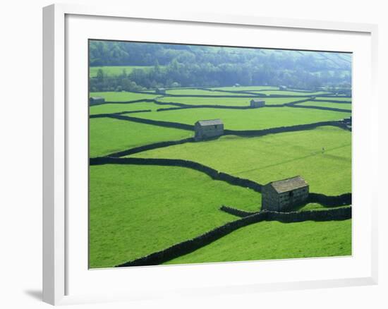 Swaledale, Yorkshire Dales, Yorkshire, England-Steve Vidler-Framed Photographic Print