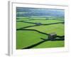 Swaledale, Yorkshire Dales, Yorkshire, England-Steve Vidler-Framed Photographic Print