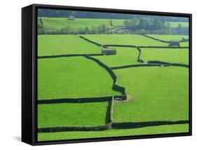 Swaledale, Yorkshire Dales, Yorkshire, England-Steve Vidler-Framed Stretched Canvas