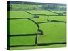 Swaledale, Yorkshire Dales, Yorkshire, England-Steve Vidler-Stretched Canvas