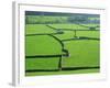 Swaledale, Yorkshire Dales, Yorkshire, England-Steve Vidler-Framed Photographic Print