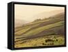 Swaledale, Yorkshire Dales, Yorkshire, England-Steve Vidler-Framed Stretched Canvas
