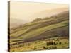 Swaledale, Yorkshire Dales, Yorkshire, England-Steve Vidler-Stretched Canvas